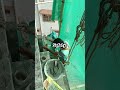 safety