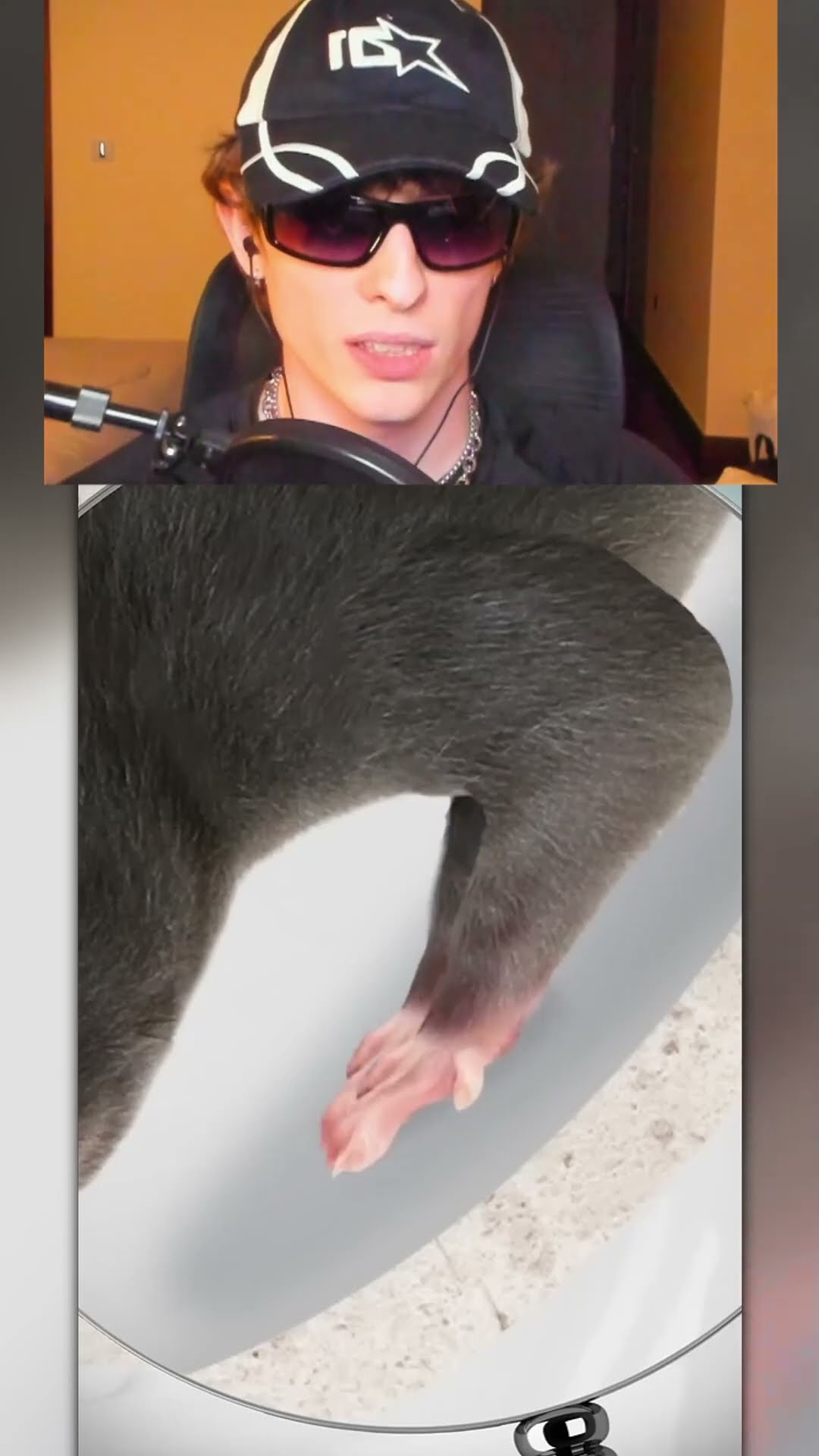Las ratas pueden HACER ESTO ?
