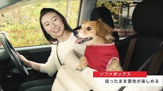 愛犬と一緒にドライブに行こう！【ペピイチャンネル】