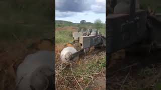 OMG! Giant CAT D8 Crawler Tractor Tearing Through the Soil 🚜💥