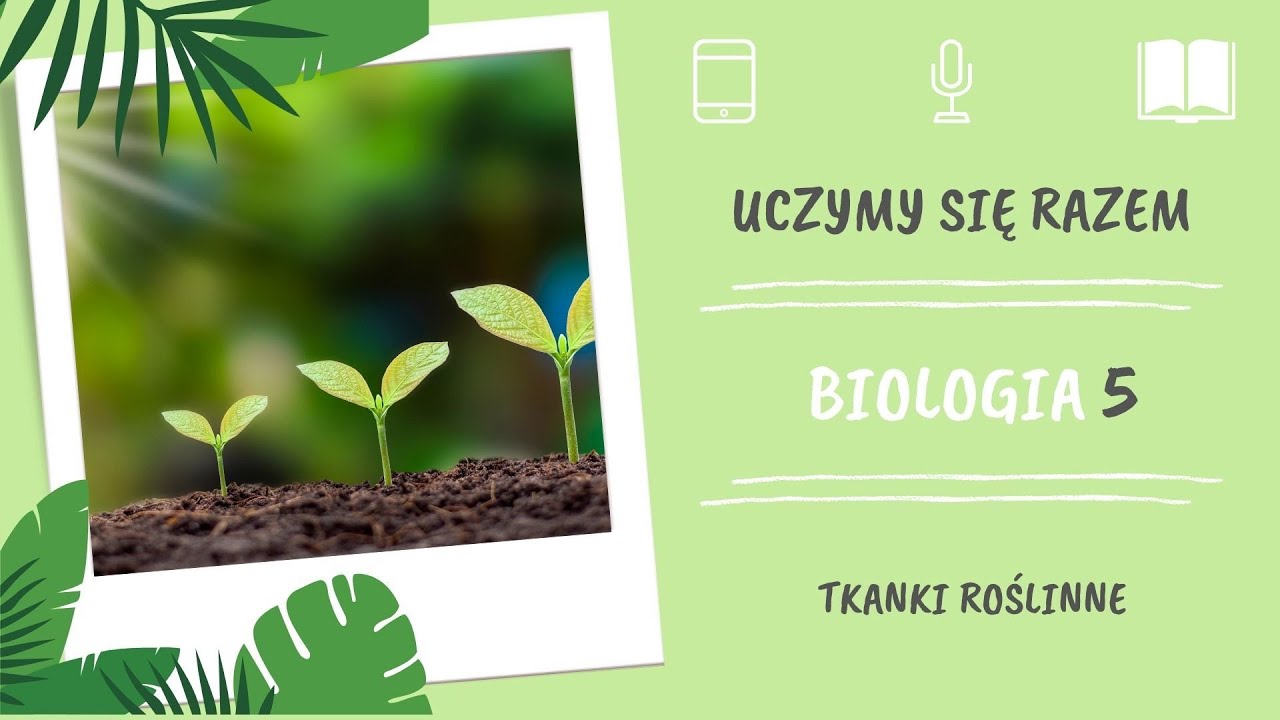 Sprawdzian Z Biologi Tkanki Roslinne - Biologia klasa 5. Tkanki roślinne. Uczymy się razem - YouTube