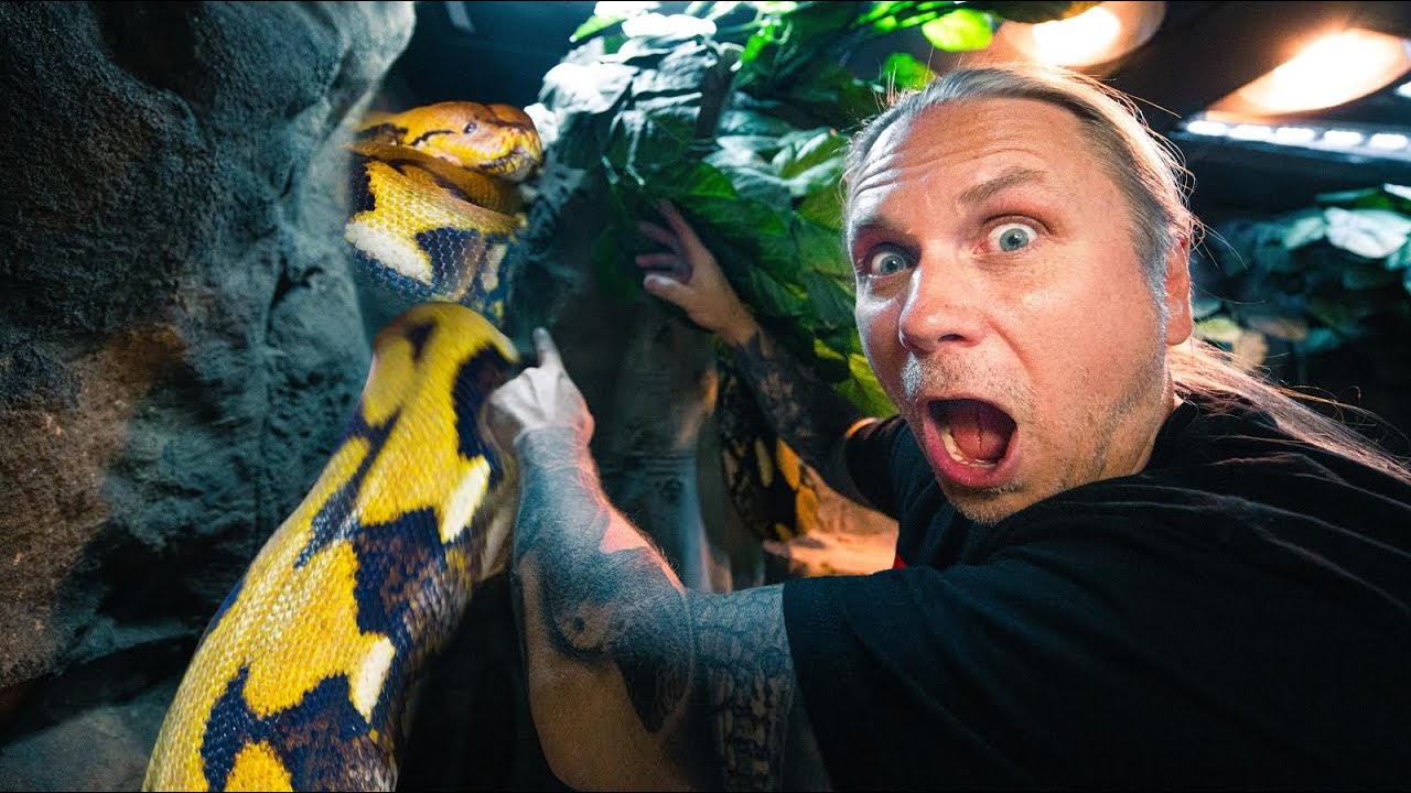WHY IS MY 20 FOOT SNAKE (Lucy) IN A TREE?? | BRIAN BARCZYK