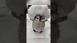 Its Cold Outside.. Ill Take You Inside The House