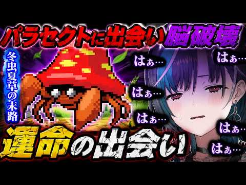 【脳破壊】サファリゾーンでパラスの進化先である「パラセクト」に出会い絶望と絶叫を繰り返すちはやｗｗｗ【ホロライブ/切り抜き/ポケモン/リーフグリーン/輪堂千速】