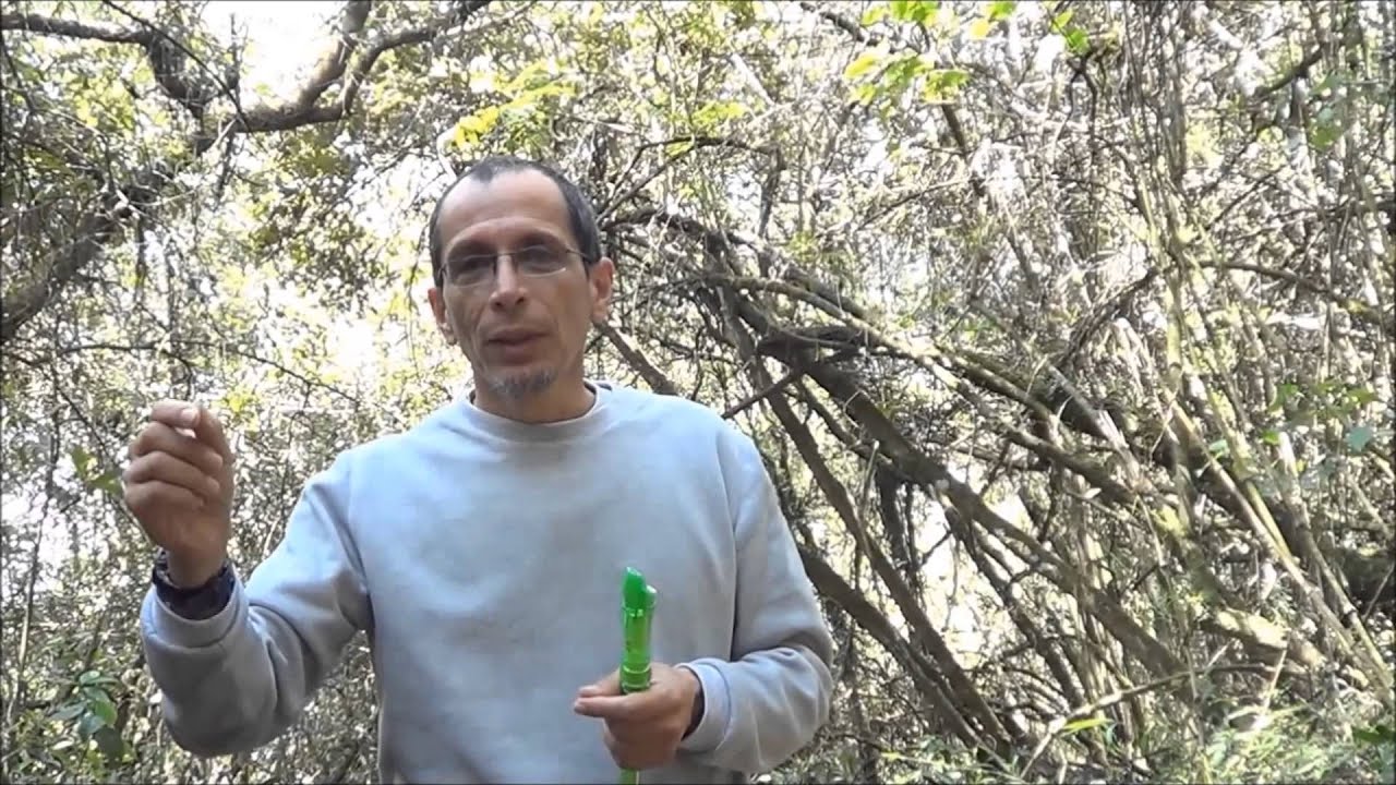 Clases de flauta con Fernando Cañon Lección 12