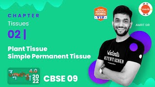 Tissues - 2 |  Plant Tissues | CBSE 9 Science 2022-23 | Amrit Sir | Vedantu 9 and 10