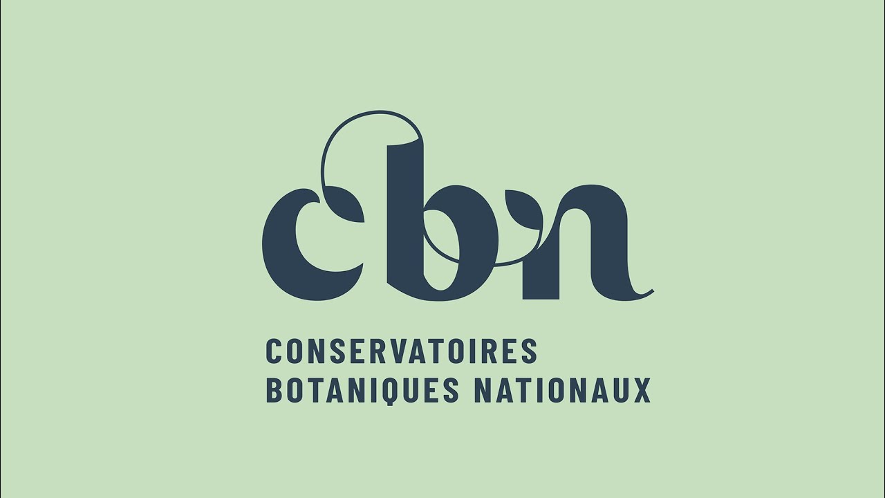 Que font les Conservatoires botaniques nationaux ?