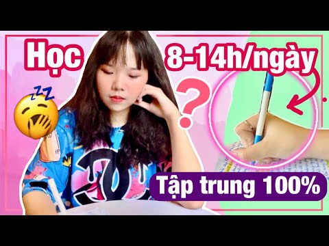 Video: 14 cách thư giãn trước khi thi cuối kỳ đại học