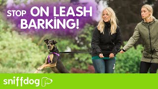 Leash Frustration:Is Your Dog Barking on Leash at Other Dogs