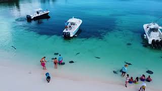Shellona Beach House Abaco Bahamas - Luxury Beachfront Home In Paradise - Bahama Palm Shores Area
