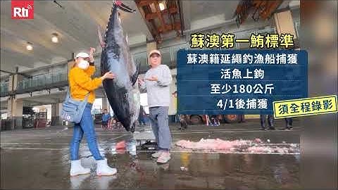 【RTI】Pescadores de Su'ao celebran la captura de atún rojo 216 kg