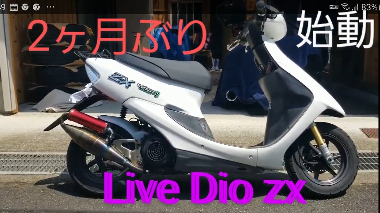 DIO 実働 ホンダ（HONDA） ライブディオZX | Live Dio ZXの型式・スペックなら