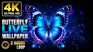 🦋 Butterfly Live Wallpaper 4K | Dreamy Animated OLED Background (2 Hours) screenshot 2