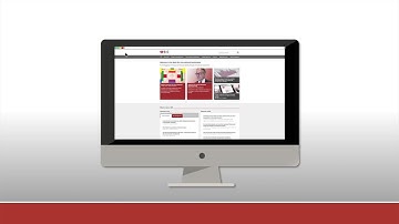 How to search for BIS statistics