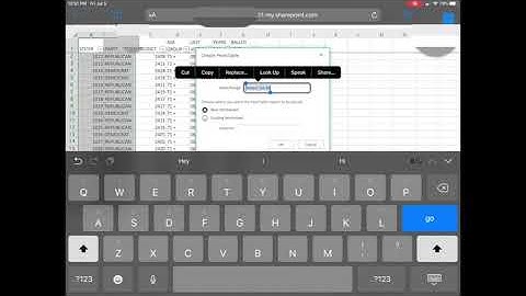Excel Pivot Tables on iPad - 2019!