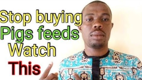 Pig farming:How to formulate local Pigs feeds in Nigeria