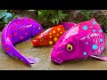 Catfish Catch Golden Eggs - Octopus boiled Koi Fish Eel &amp; Frogs Colorful Stop Motion ASMR Best Carp