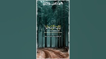 تلاوات خاشعة من القرآن الكريم بصوت جميل وهادئ للقارئ -عصام حمود