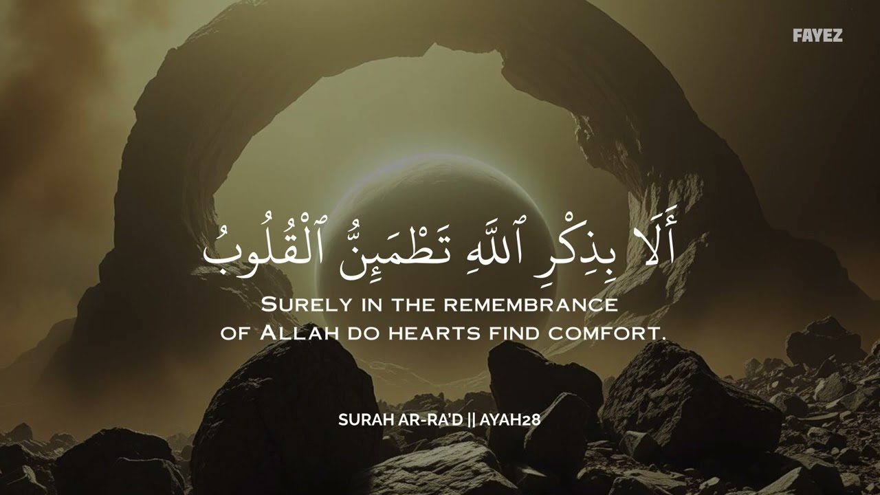 راحة وطمأنينة بالقرآن 💛🎧 | تلاوة مؤثرة بصوت سالم الرويلي| Soul Healing