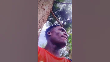 Sikuku Imefika 