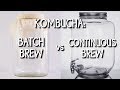 Kombucha: Batch Brew vs. Continuous Brew
