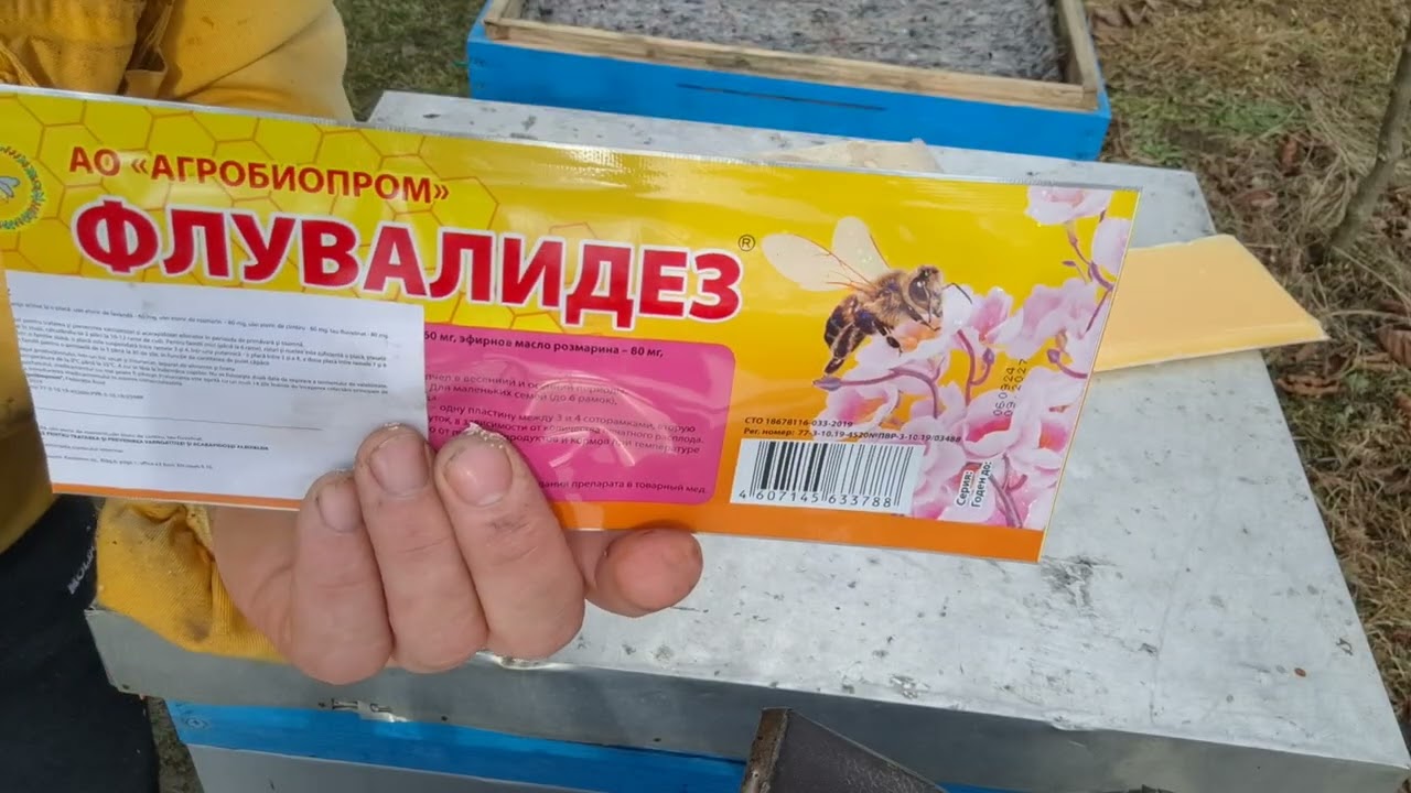 824.Hrana energetica,proteica si tratament.