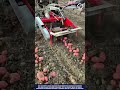 Potato Harvesting Machine Innovation to Extract Fresh Crops from Soil