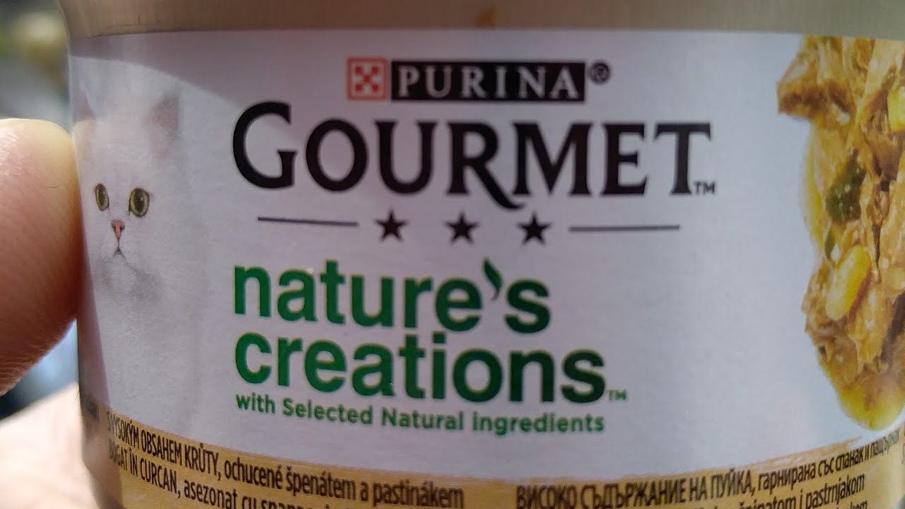 Purina Gourmet Nature's Creations Cat Food Review YouTube