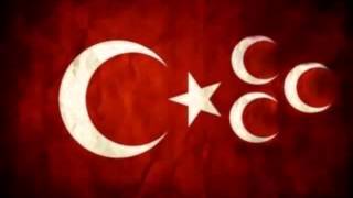 Osman Öztunç   Türklerin Akını Türklük Kanımızın Hükmüdür Resimi