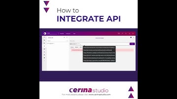 How to integrate API