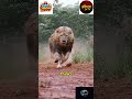 Top 3 Most Ruthless Animals in the Wild 🐅”Nature’s Bullies 😳! ২০২৬ | ভাইরাল খবর EiTo TV #animals