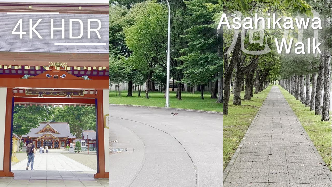 Encounter Squirrel in Walking Shrine, JSDF Base, Sport Park in Asahikawa, Hokkaido, Japan | 4K HDR