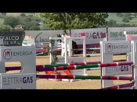 Liyanna ter Wijnen CSIYH 7 yo Montefalco W2 D2