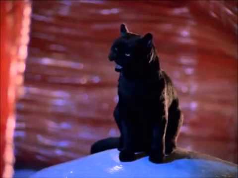 The Best Of Salem (Sabrina The Teenage Witch)