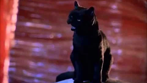 The Best Of Salem (Sabrina The Teenage Witch)