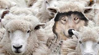 Celebrity How to Stop Being Narcissistic Prey - Part 1 Profile