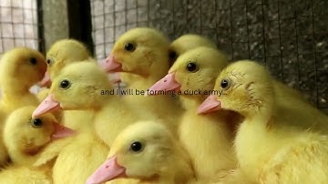 My first YouTube video—hope you like it!