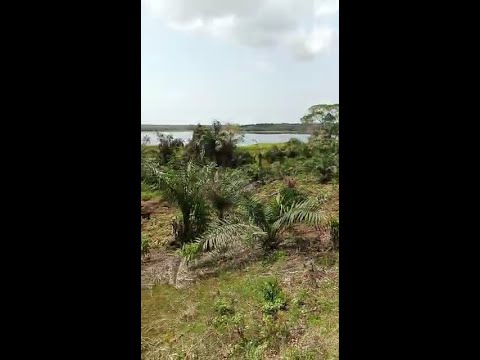 10 HECTARES AVEC