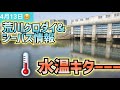 2026年4月13日水温キタコレ！ 荒川クロダイ&シーバス情報 毎日配信中