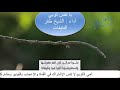 يا نفس توبي أداء الشيخ ظفر النتيفات شعر أبو العتاهيه يا نفس توبي أداء الشيخ ظفر النتيفات شعر أبو العتاهيه