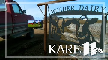 New hope for MN dairy family in immigration battle