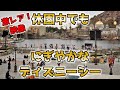 【激レア映像】休園中のディズニーシーを眺めに行ったら、とても珍しい光景が広がっていた件。/東京ディズニーシー/2020,3, 7,Rare footage of Tokyo DisneySea