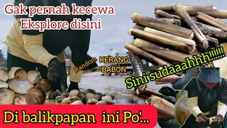 Seruuuu...!!! Gak pernah kecewa Belajar cari Kerang Disini #kerangbambu #balikpapan#razorclams