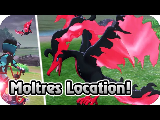 Como capturar o Moltres de Galar na expansão The Crown Tundra de