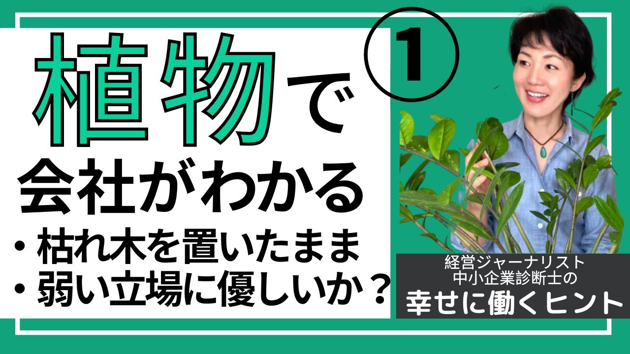植物で会社がわかる 前編 幸せに働き生きるヒント 58 Youtube 植物で会社がわかる 前編 幸せに働き生きるヒント 58 Youtube