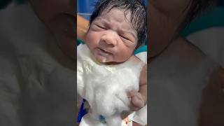 Newborn Feeding Guide | Cup Feeding Safe Technique #shorts #babyfeeding