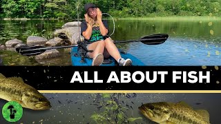 How Do Fish Breathe, Swim, & Float? |  Buoyancy Demonstration