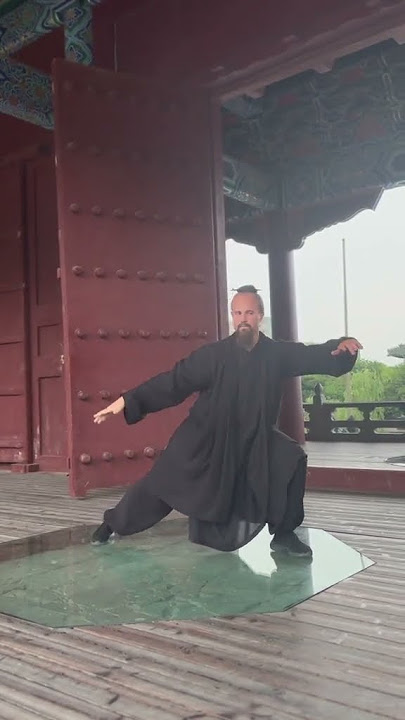 Taiji and Bagua #baguazhang #kungfu #wushu #martialarts #taichi #taijiquan
