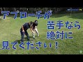 アプローチが苦手な人は絶対に見てください