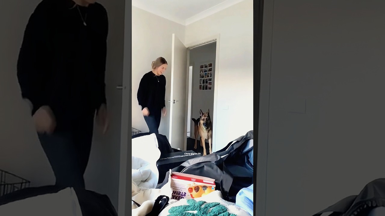 Dog Shocked 🐶😂